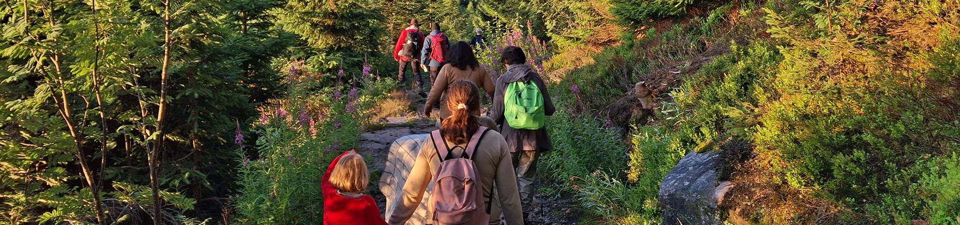Gruppe wandert im Schwarzwald
